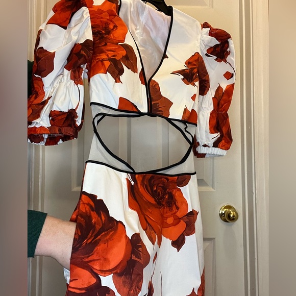 Autumn Adeigbo Gisele Red White Floral Cutout Dress NWT $625 - Picture 10 of 14